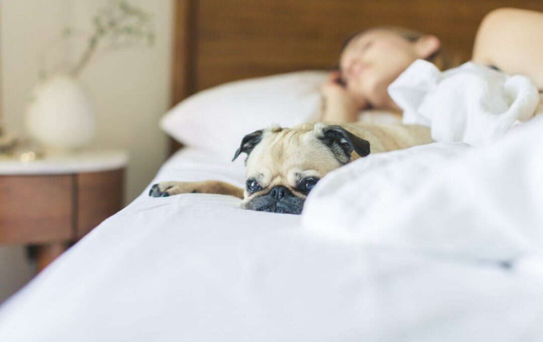 Famille dans un lit